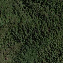 Satellite imagery of 1543, NZ
