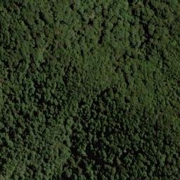 Satellite imagery of 1543, NZ