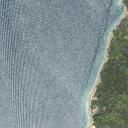 Satellite imagery of 1651 MARINE HEAD, NZ