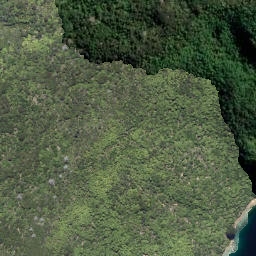 Satellite imagery of 1651 MARINE HEAD, NZ