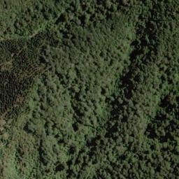 Satellite imagery of 1543, NZ