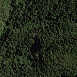 Satellite imagery of 1543, NZ