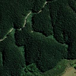 Satellite imagery of 1642, NZ