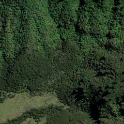 Satellite imagery of 1642, NZ