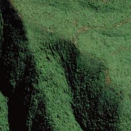 Satellite imagery of Pitoitoi Point, NZ
