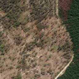Satellite imagery of Bare Point, AU
