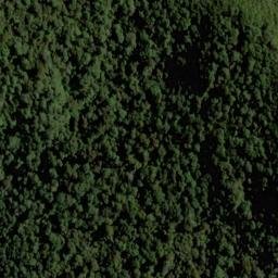 Satellite imagery of LITTLE LOOKOUT, NZ