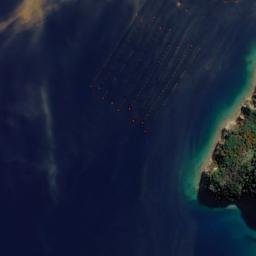 Satellite imagery of Otonga Point, NZ