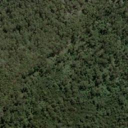 Satellite imagery of Mount Dial, AU