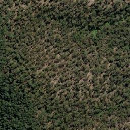 Satellite imagery of Flowers Hill, AU