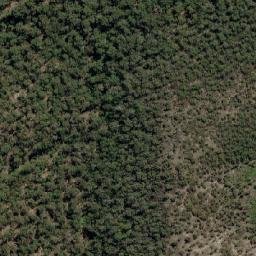 Satellite imagery of Flowers Hill, AU