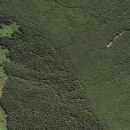 Satellite imagery of Turn Point, NZ