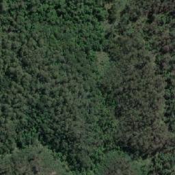 Satellite imagery of Lone Bush Hill, AU