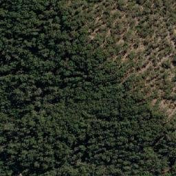 Satellite imagery of Flowers Hill, AU