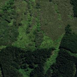 Satellite imagery of 1643, NZ