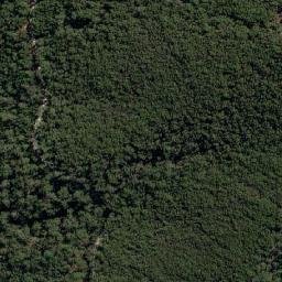 Satellite imagery of Flowers Hill, AU
