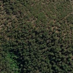 Satellite imagery of Flowers Hill, AU