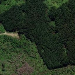 Satellite imagery of 1643, NZ