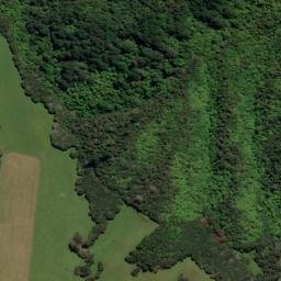 Satellite imagery of Poison Point, NZ