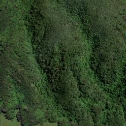 Satellite imagery of Poison Point, NZ