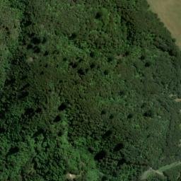 Satellite imagery of Poison Point, NZ