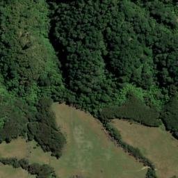 Satellite imagery of McMahon Point, NZ