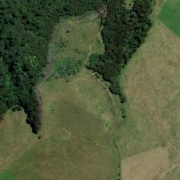 Satellite imagery of McMahon Point, NZ