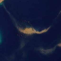 Satellite imagery of Parea Point, NZ