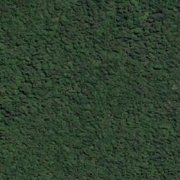Satellite imagery of Frog Hill, AU