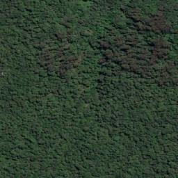 Satellite imagery of Frog Hill, AU