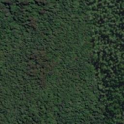 Satellite imagery of Frog Hill, AU