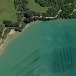 Satellite imagery of Poison Point, NZ