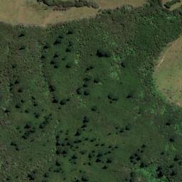 Satellite imagery of McMahon Point, NZ