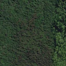 Satellite imagery of Frog Hill, AU