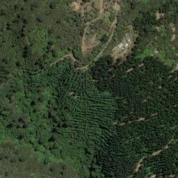 Satellite imagery of N (Wakapuaka SD), NZ