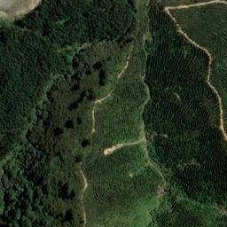 Satellite imagery of 1544, NZ