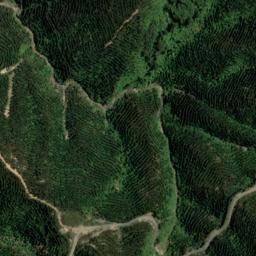 Satellite imagery of 1544, NZ