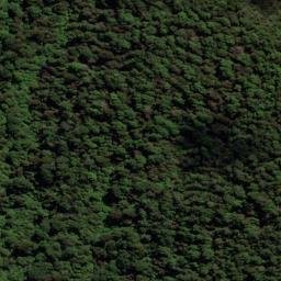 Satellite imagery of Te Mara Point, NZ