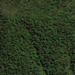 Satellite imagery of Te Mara Point, NZ