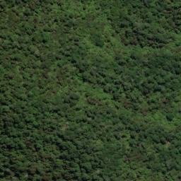 Satellite imagery of Te Mara Point, NZ