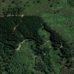 Satellite imagery of McMahon Point, NZ