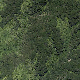 Satellite imagery of Clay Point, NZ