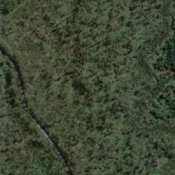 Satellite imagery of Forked Tree Hill, AU