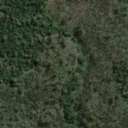 Satellite imagery of Forked Tree Hill, AU