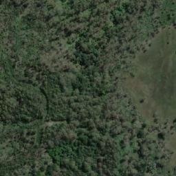 Satellite imagery of Forked Tree Hill, AU
