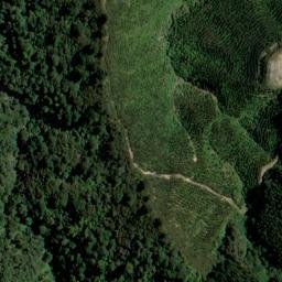 Satellite imagery of 1544, NZ