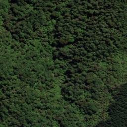 Satellite imagery of Te Mara Point, NZ