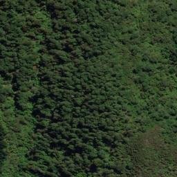 Satellite imagery of Te Mara Point, NZ