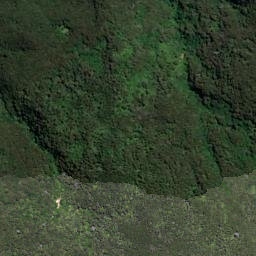 Satellite imagery of 1681, NZ