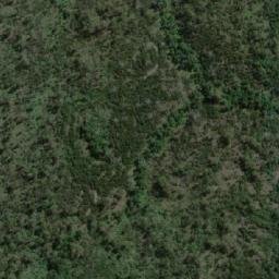 Satellite imagery of Forked Tree Hill, AU